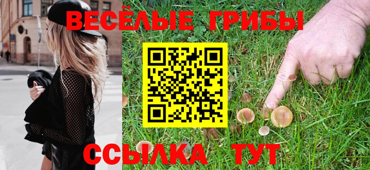 Галлюциногенные грибы прущие грибы Клин