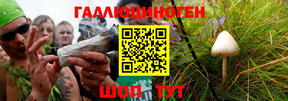 Клин  Псилоцибиновые грибы Magic Shrooms  Вход с VPN 